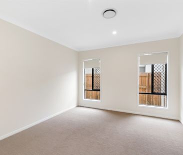 20 Apollo Street, Newport QLD 4020 - House For Rent | Domain - Photo 5