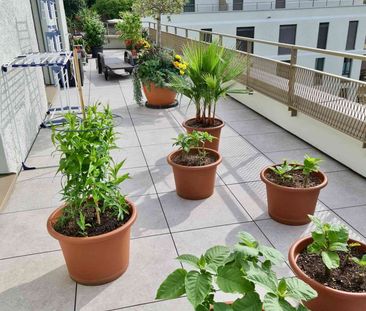 3.5 Zimmer, 104 m², 4. Stock - Photo 5