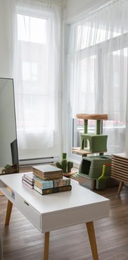 3 1/2 - Montréal (La Petite-Patrie) - 1 895 $/mois - Photo 1