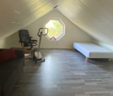 Nyrenoverad Studio på Historiska Adelsö - Photo 2