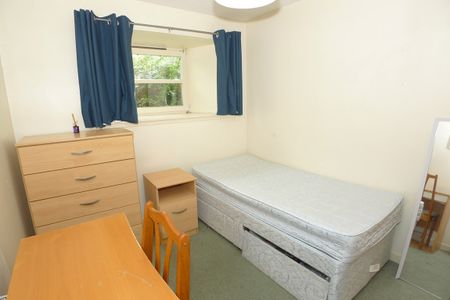 Property to let in St Andrews - Photo 4