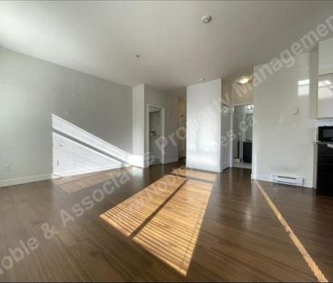 5XXX Kings Road 301 Vancouver_UBC - Photo 6