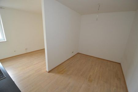 Jakomini – 39m² – Erstbezugscharakter – Wohnen am Murufer – Singlewohnung - Photo 4