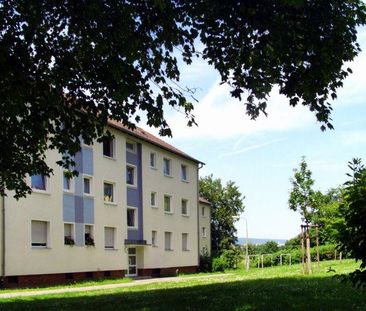 Schöne 2,5-Zimmer-Wohnung zu vermieten! - Foto 1