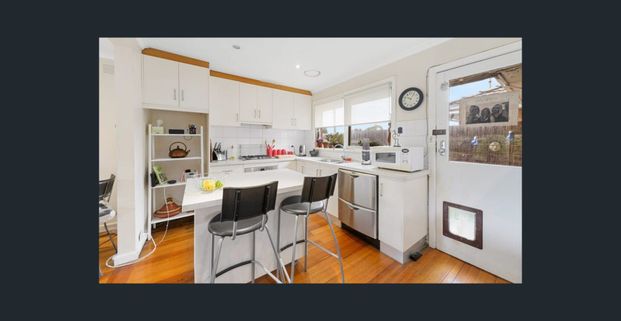 THE PERFECT PACKAGE - Photo 1