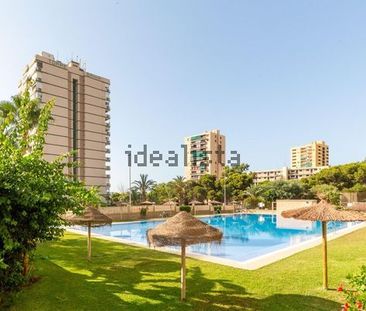 Alquiler de estudio en Paseo de los Sauces, 1 - Photo 5