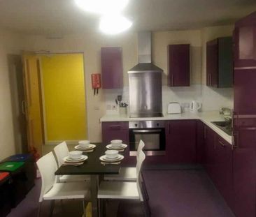 Classic En-Suite Lower Ground Floor, Behn Hall - Photo 6