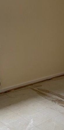 Trinity Close - Photo 1