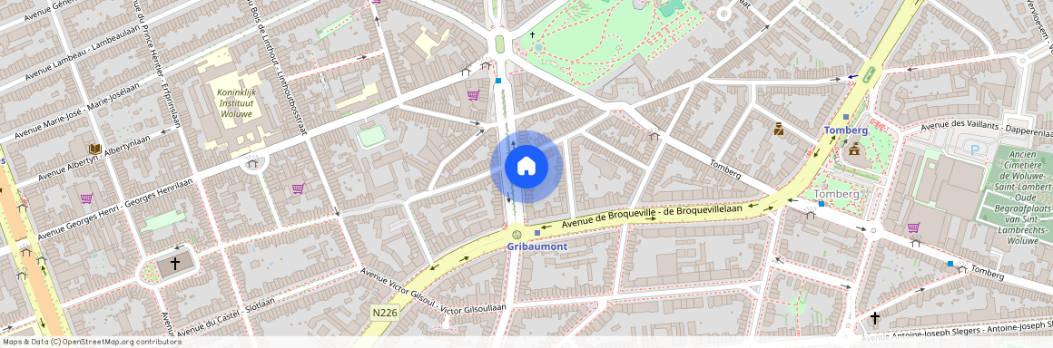 Avenue du Roi Chevalier 20, 1200 Sint-Lambrechts-Woluwe