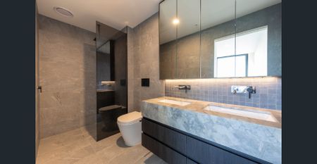 Luxury Apartment in Hawthorn East - Photo 4