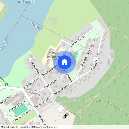 9 rue des Peupliers, RECHICOURT LE CHATEAU, 57810