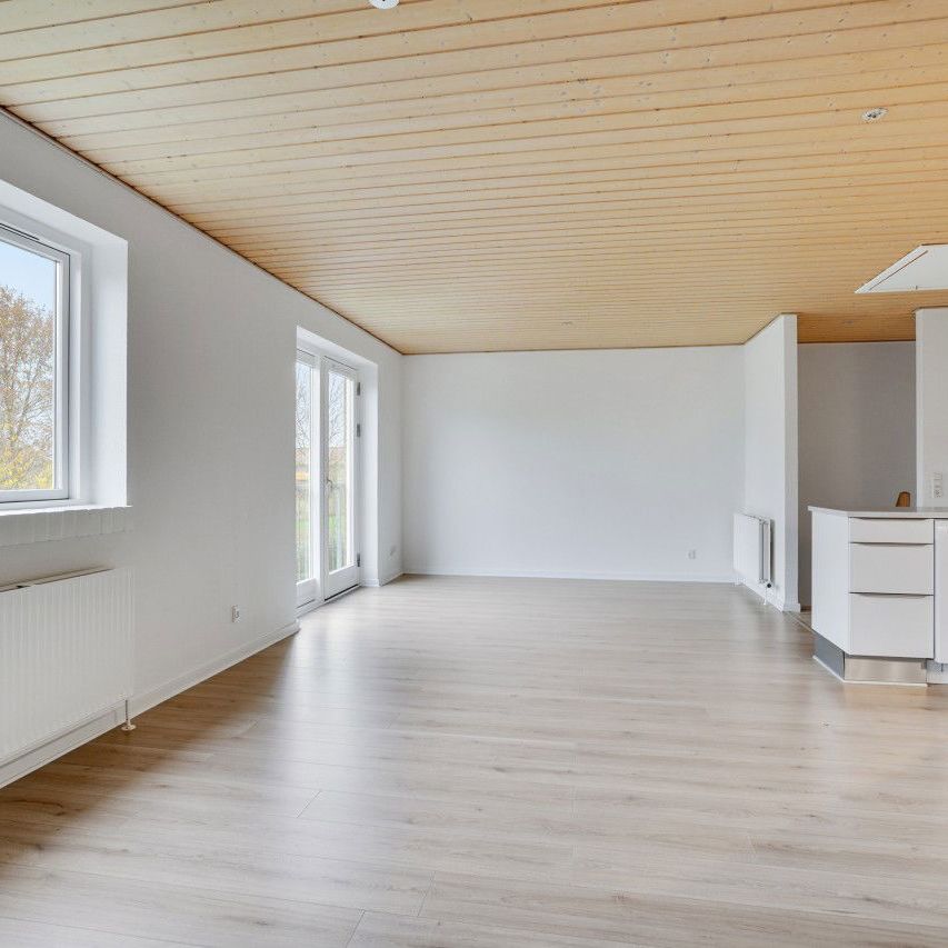 Hvenekildeløkken 23 B, st., 5240 Odense NØ - Foto 1