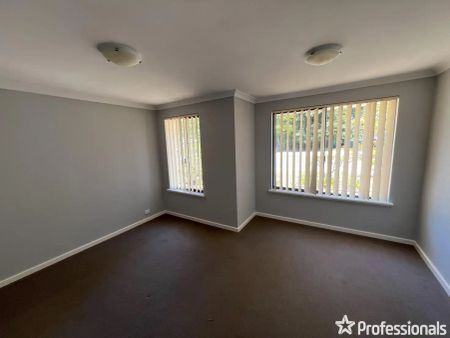 “Caladenia School Zone” - Photo 3