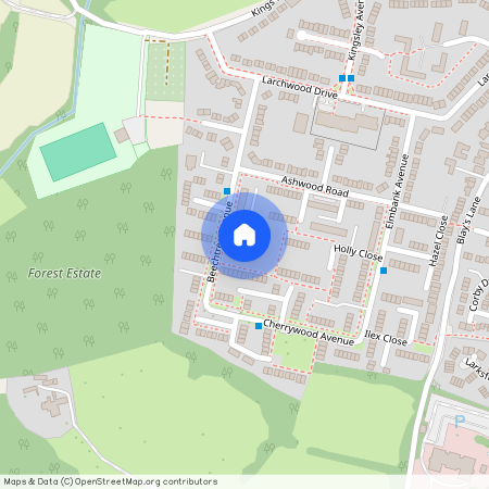 Beechtree Avenue, Englefield Green TW20