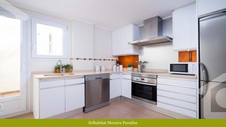 Paradise WINTER OFFER - Photo 4