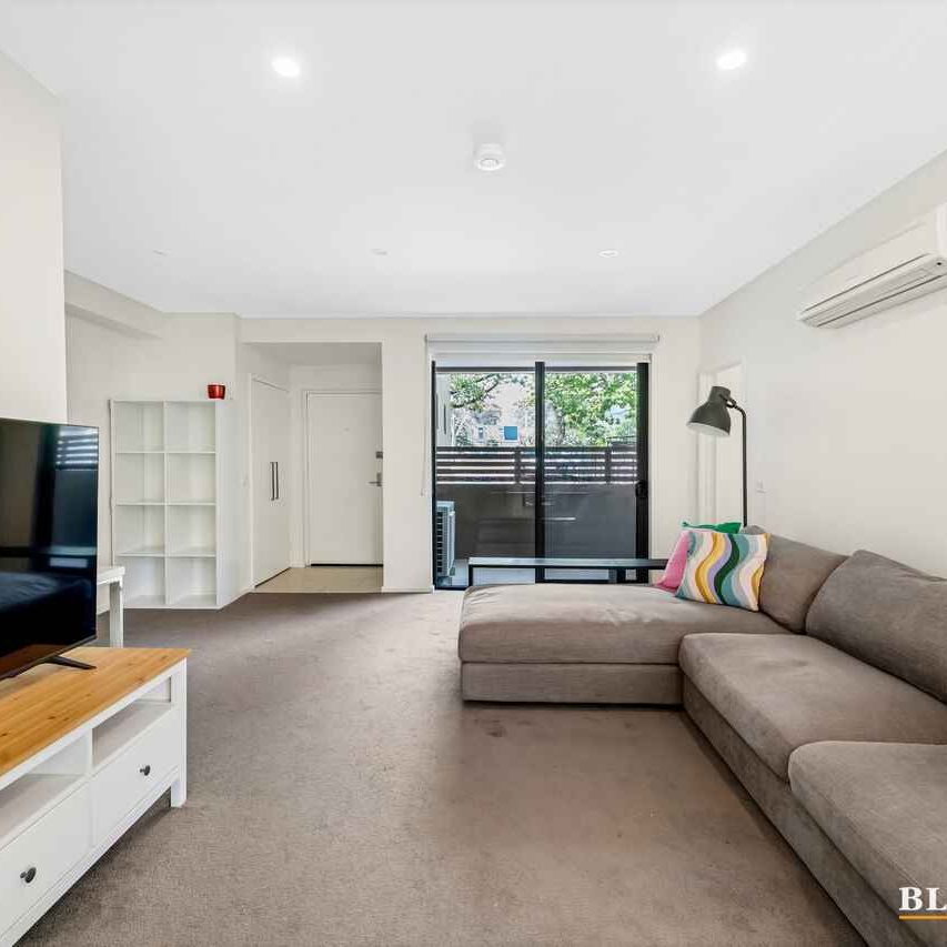 Furnished apartment ideally located in the inner north - Photo 1