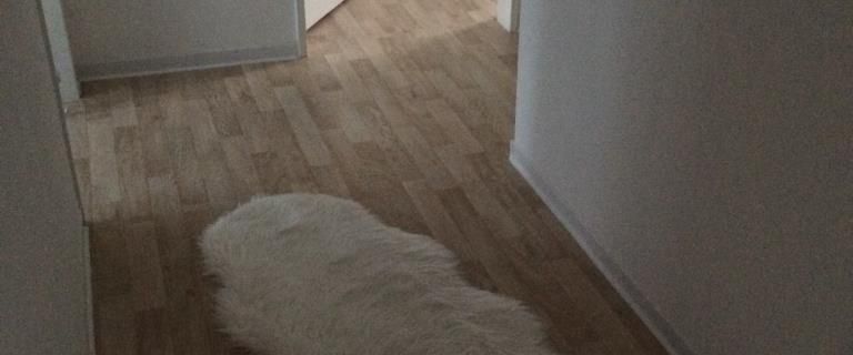 Schöne 3 Zimmer Wohnung in Horn-Lehe - Photo 1