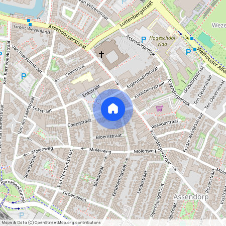 Oud-Assendorp, 8012 VB, Coetsstraat, Zwolle