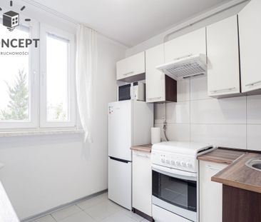 Pełen rozkład | 3-pok. | Piwnica | Krzyki - Zdjęcie 4