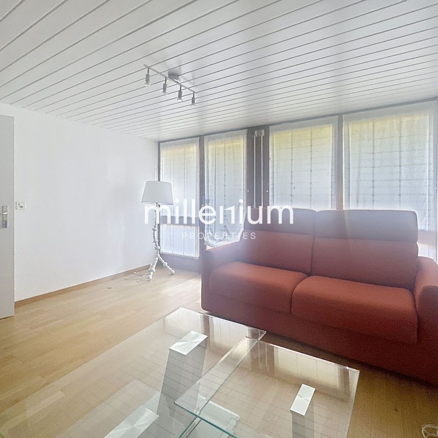 Large furnished house with pool in Versoix - Foto 1