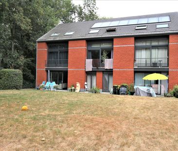Appartement - à louer - 1457 WALHAIN-SAINT-PAUL - - Foto 5
