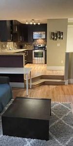 Furnished Bachelor Studio -VGH Great Location! - Photo 4