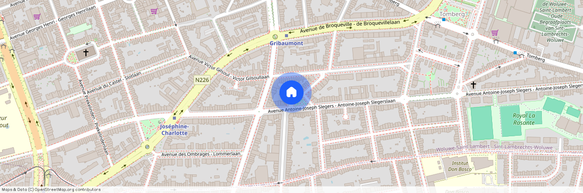 Avenue Constant Montald, 18, 7, 1200, Woluwe-Saint-Lambert