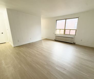 For Lease - 896 Eglinton Avenue Unit# 311, Toronto, Ontario - Photo 4