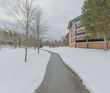 For Lease - 155 Main Street Unit# 227, Newmarket, Ontario - Photo 5