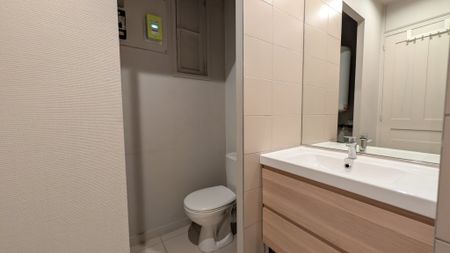 Location Appartement 1 pièce 23m² CHAMBERY 73000 - Photo 3