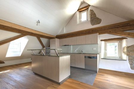 Grosse, moderne Dachwohnung mit direktem Liftzugang - Foto 4