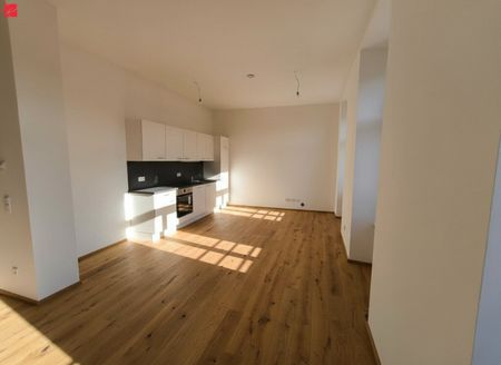 Erstbezug: Neu sanierter Altbau mit hochwertiger Ausstattung! - Photo 3
