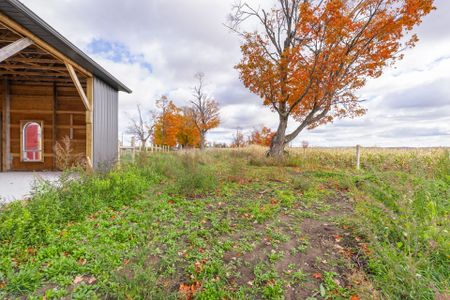 For Lease - 94 Hillhead Road, Kawartha Lakes, Ontario - Photo 2