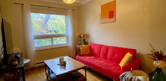 4 1/2 - Montréal (La Petite-Patrie) - 1 495 $/mois - Photo 2