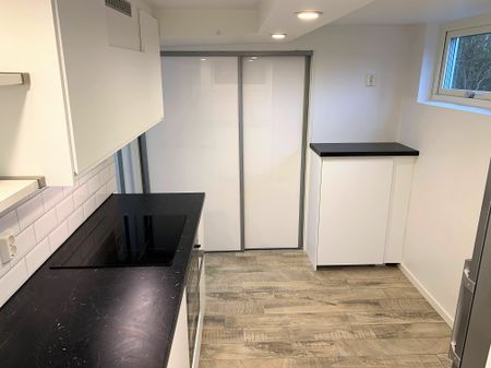 Ibsensgatan, Göteborg - Photo 3