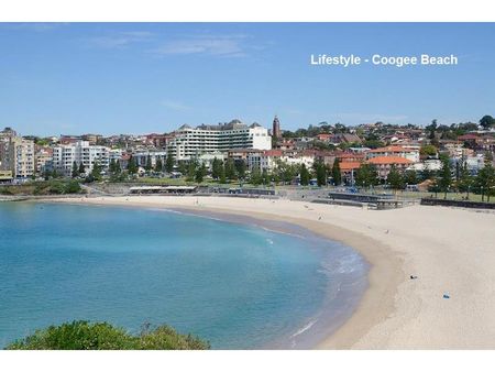 3/141 Arden Street, Coogee NSW 2034 - Apartment For Rent | Domain - Photo 2
