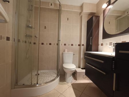 Location Appartement 1 pièce 20m² NANTES 44100 - Photo 2