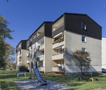 Demnächst frei! 4-Zimmer-Wohnung in Offenbach an der Queich - Photo 2