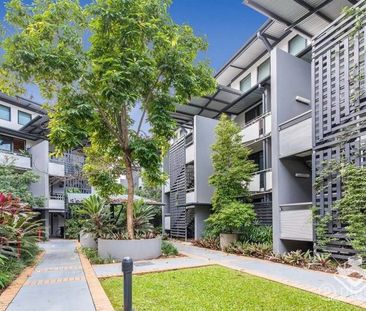 Urban Loft Living in the Heart of Teneriffe - Photo 5