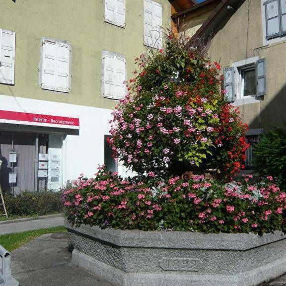 Location appartement ancien 1 pièce 16.4 m² à Cluses (74300) 5 - Photo 1