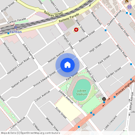 8 Prince Edward Street, NSW 2218, Carlton