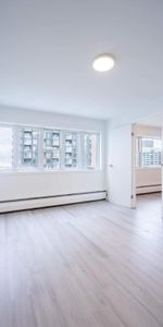 🏙️ Appartement 2 ch| UN MOIS GRATUIT | métro Atwater - Photo 3