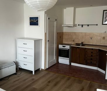 Pronájem bytu 1+kk v osobním vlastnictví 39 m², Zásada - Fotografie 2