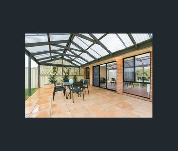 I’m bigger than I look! - Photo 4