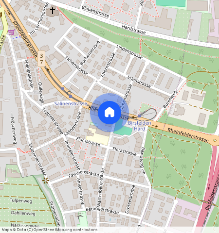 Rheinfelderstr, 38, 4127 Birsfelden