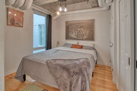 Appartement à louer - Montréal (Ville-Marie) (Centre) - Photo 5