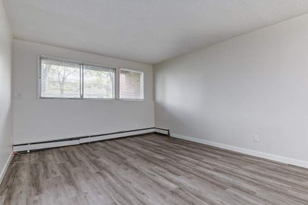 Renovated Suite - 2 Bedroom - Photo 4