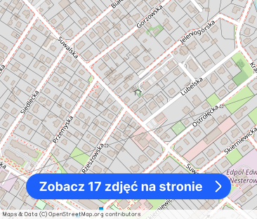 Bielawy*oryginalne*3 pokojowe*na poddaszu* - Zdjęcie 1