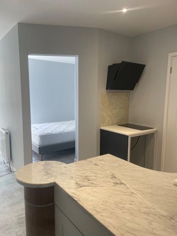 1 Bed Flat, Green Lane, S3 - Photo 2