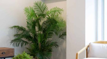 Central New Plymouth Apartment - Photo 5